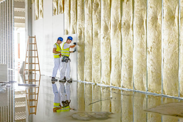 Best Eco-Friendly or Green Insulation Solutions  in Sun Lakes, AZ